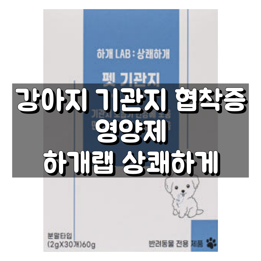 강아지 기관지 협착증 하개랩 대표 이미지