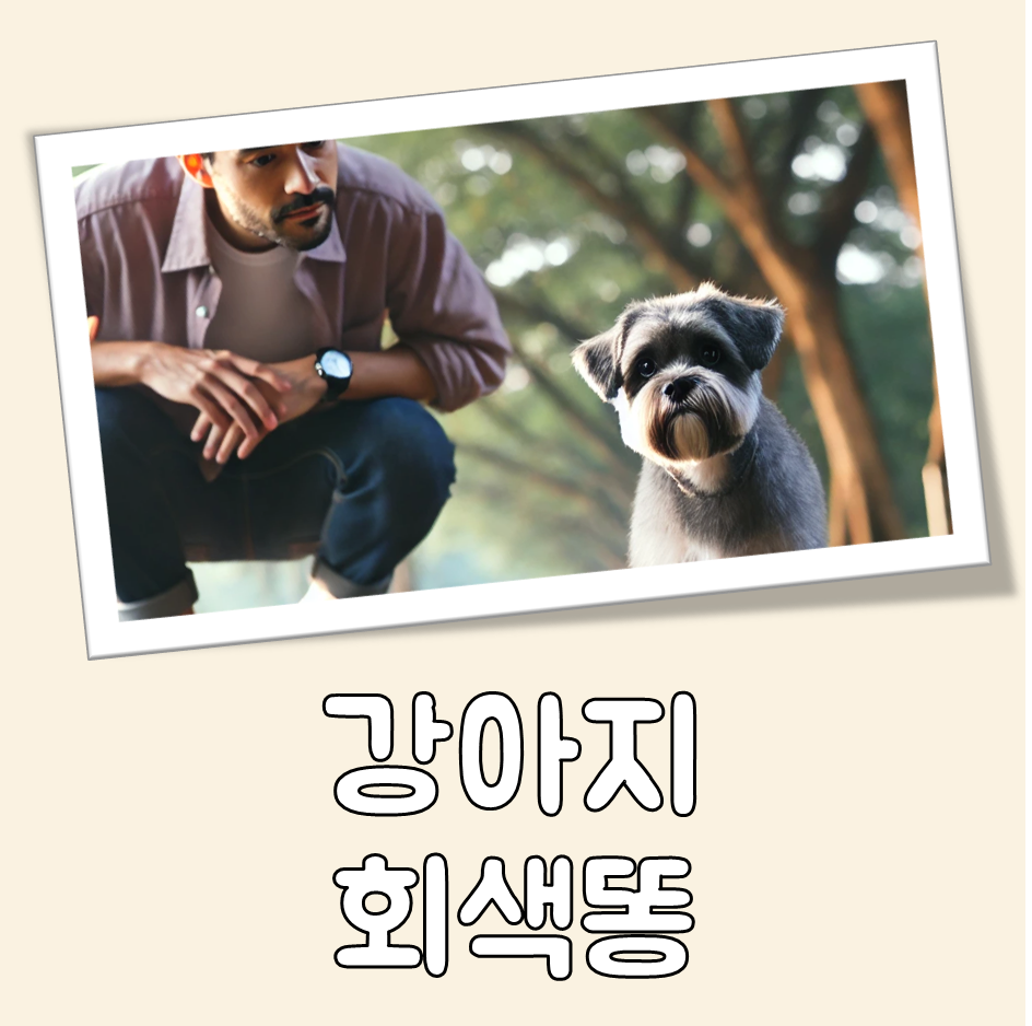 강아지 회색똥 대표 이미지
