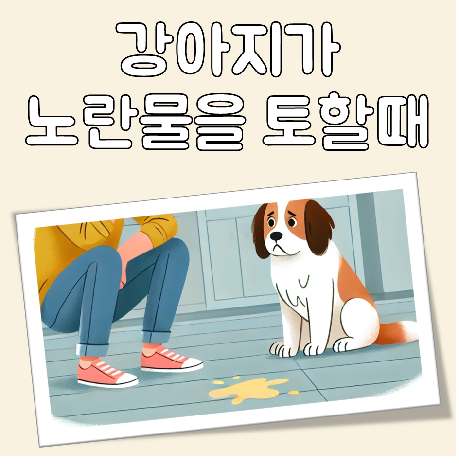 강아지가 노란물을 토해요, 원인과 해결책 제안 대표 이미지