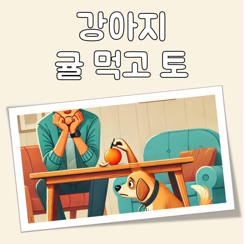 강아지 귤 먹고 토 대표 이미지