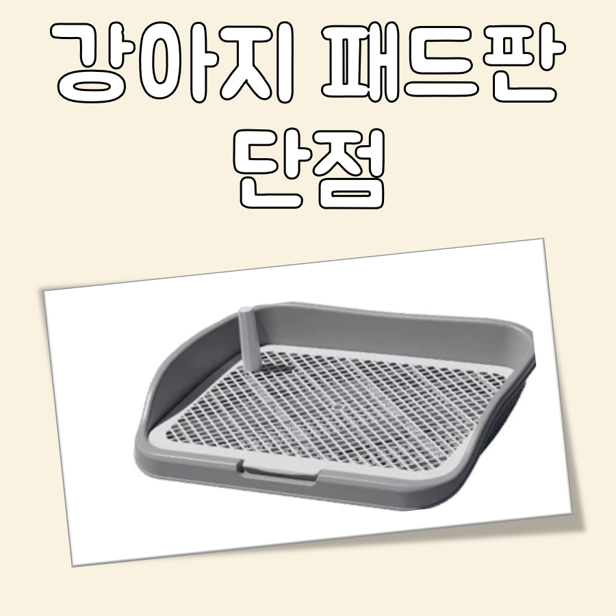 강아지 패드판 단점