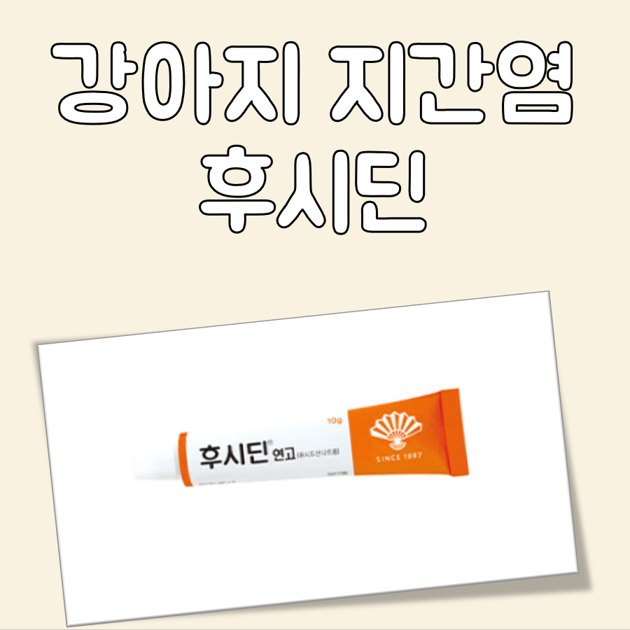 강아지 지간염 후시딘 대표 이미지